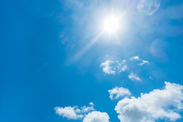 「井の中の蛙大海を知らず」には実はポジティブな続きがあった!/毎日雑学