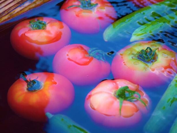 かぼちゃは浮き、じゃがいもは沈む。水に浮く野菜は生育環境で見分けられる/毎日雑学1