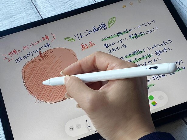 スタイラスは、描画中に手のひらの誤タッチを防ぐ「パームリジェクション」対応のものが快適。5,000円前後で購入できます