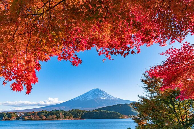 紅葉狩り行った!? 葉の色が変わるメカニズムといまいち不明なその理由とは/毎日雑学