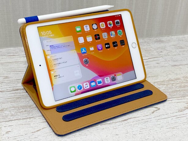 先代のiPad mini 4と全く同じサイズなので、ケースは共通。だから選択肢が多いのも利点です