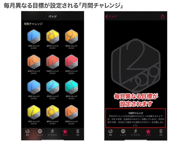 「月間チャレンジ」の目標は月初に通知が届き、達成するとその月のバッジをもらえます