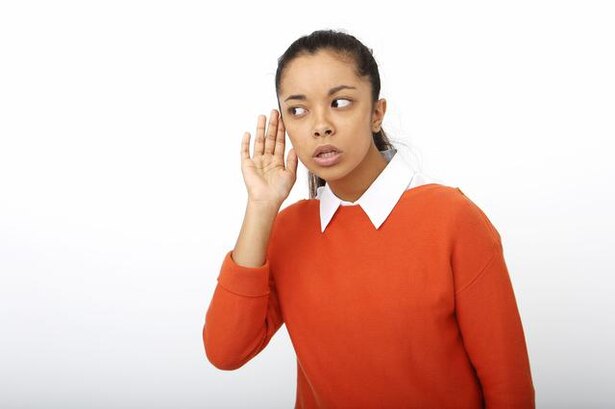 シロサイとクロサイの違いとは? 実は肌の色の白黒とは関係がなかった/毎日雑学1