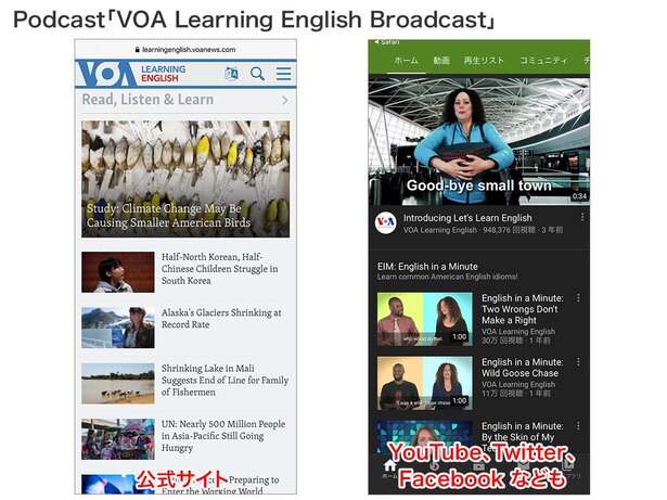 Podcast だけでなく、公式サイト、SNS、YouTube、メルマガなど様々な形でコンテンツを提供する VOA Learning English