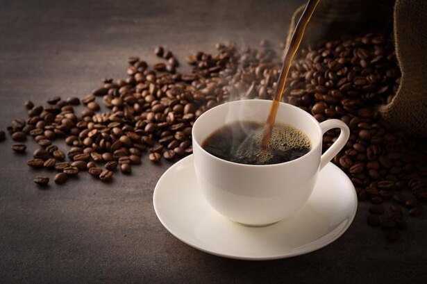 蜘蛛はコーヒーを飲むと酔っ払い、まともに巣を作れなくなるって本当?/毎日雑学1