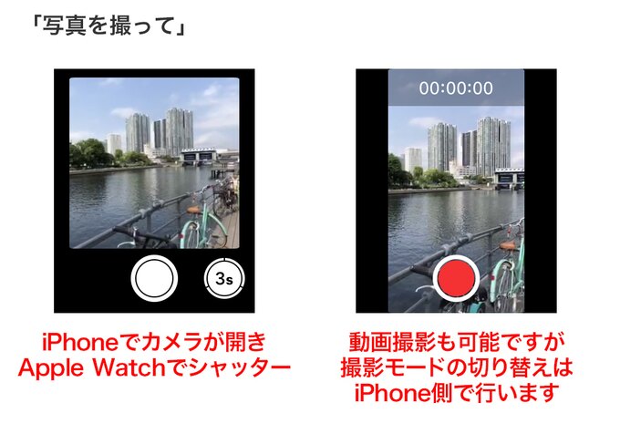 「写真を撮って」と言うとiPhoneのカメラが開き、Apple Watchで画面を確認しながらシャッターを押せます。撮影モードの変更はできません