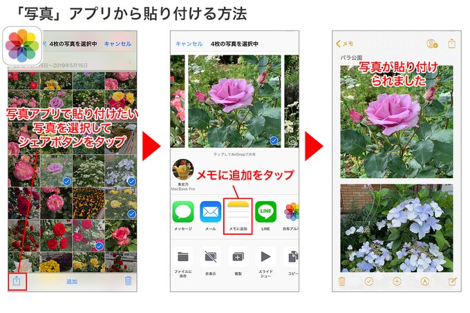 写真アプリを開き、「選択」をタップ→メモに貼り付けたい写真を選択して、シェアボタンをタップ→「メモに追加」を選択