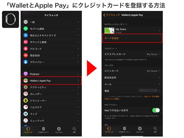 iPhoneの「Watch」を開き、「WalletとApple Pay」をタップ→「カードを追加」を選択