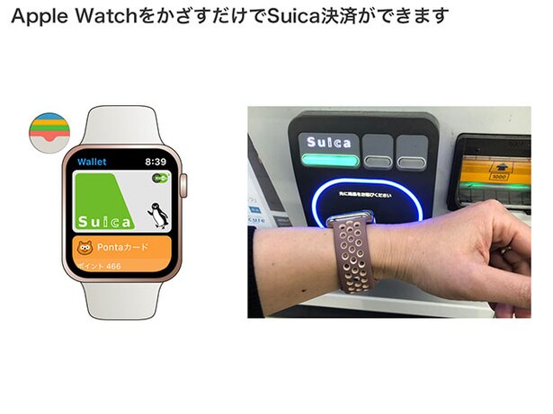 Apple Watchの「Wallet」アプリを開くと、Suicaが表示されます。アプリの操作などは必要なく、決済端末にApple Watchをかざすだけで、支払いが完了します