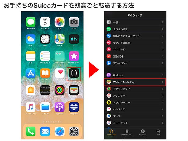 iPhoneの「Watch」アプリを開き、「WalletとApple Pay」をタップ