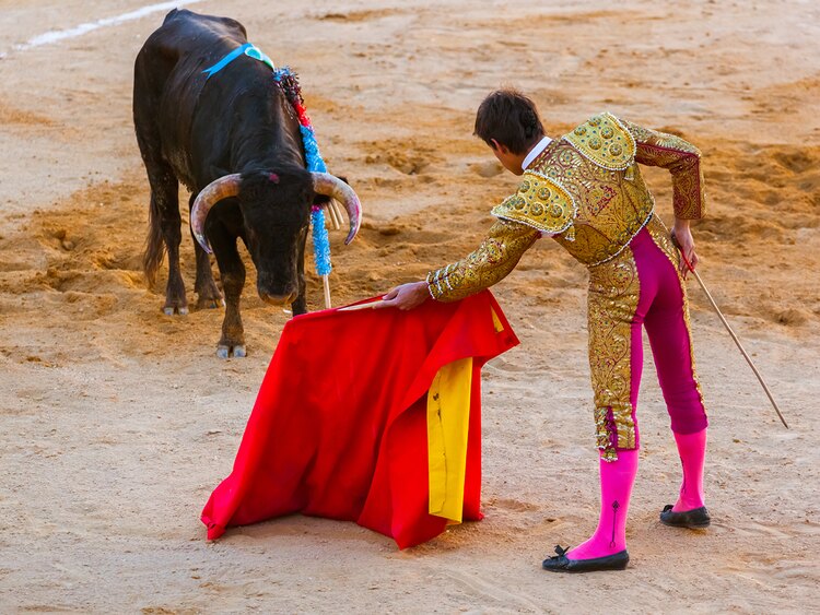 スペインの伝統行事である闘牛では、牛は闘牛士が持つ赤い布(ムレータ)に向かって突進するが、このとき牛が興奮するのはなぜ?