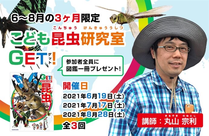 【6～8月の3ヶ月限定】こども昆虫研究室 GET！